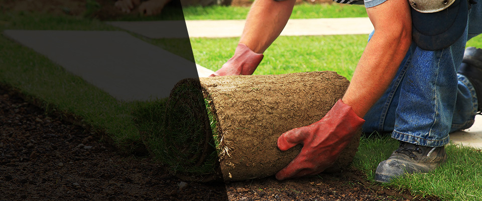 Cardiff By The Sea Landscapers